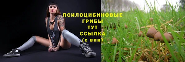 кокаин перу Аркадак