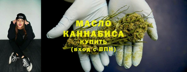 гидра Арсеньев
