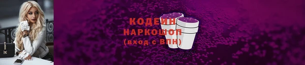 гидра Арсеньев
