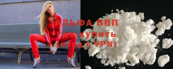 гидра Арсеньев