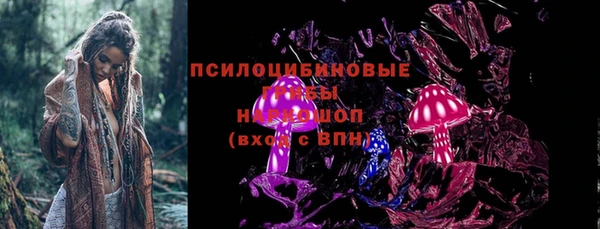 Альфа ПВП Армянск